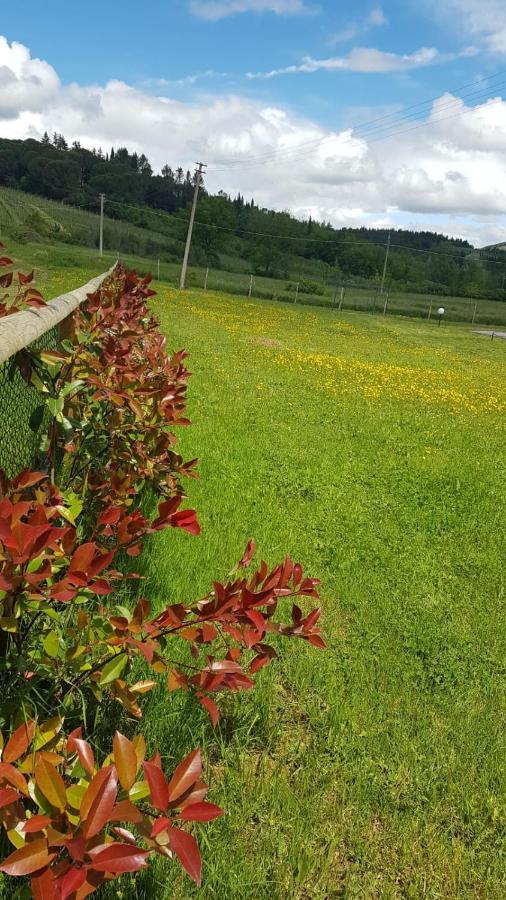 Podere Greve San Casciano in Val di Pesa Exterior foto